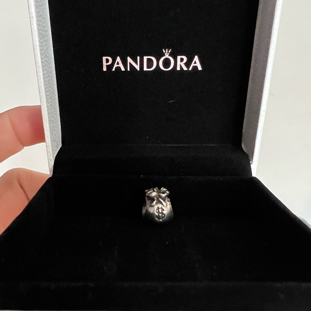 Pandora Money Bag Charm